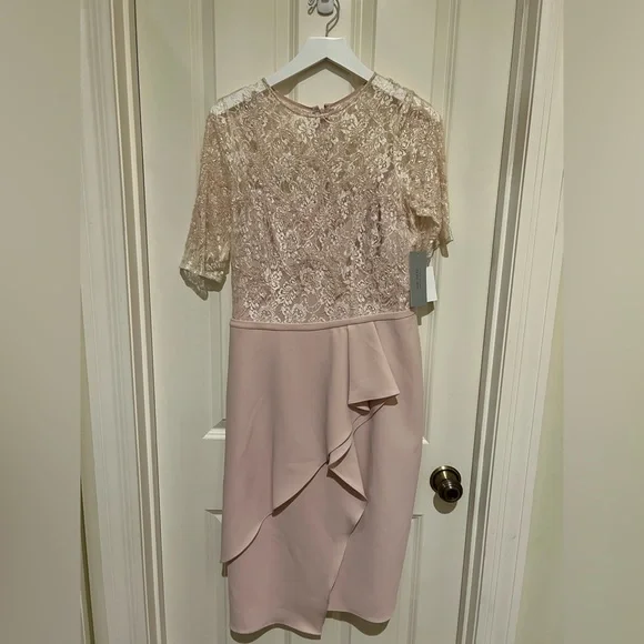 Teri Jon Dresses | Teri Jon Midi Formal Dress With Beautiful Bodice | Color: Pink | Size: 10 | Cgehas's Closet